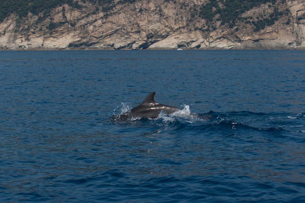 Affittacamere Mariella Levanto Dış mekan fotoğraf